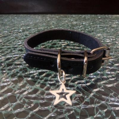 Collier chien, chiot, chat, cuir noir et étoile argentée